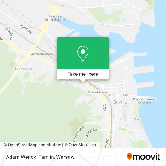 Карта Adam Wencki Tamlin