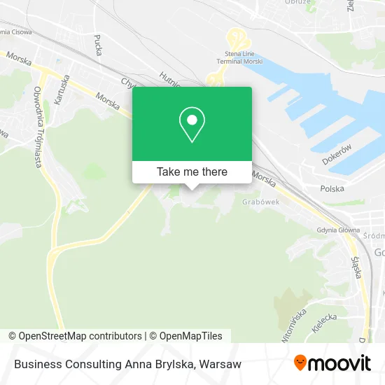 Карта Business Consulting Anna Brylska