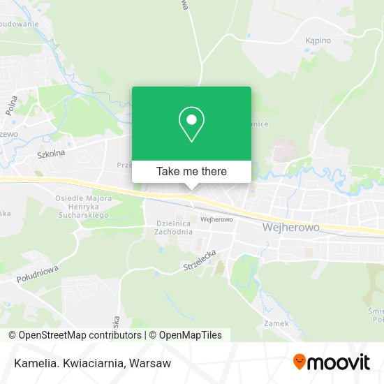 Kamelia. Kwiaciarnia map