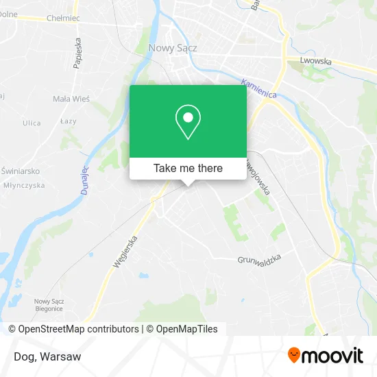 Карта Dog