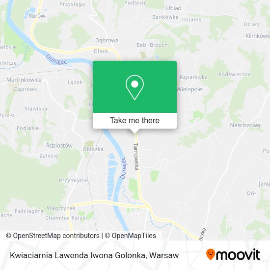 Kwiaciarnia Lawenda Iwona Golonka map