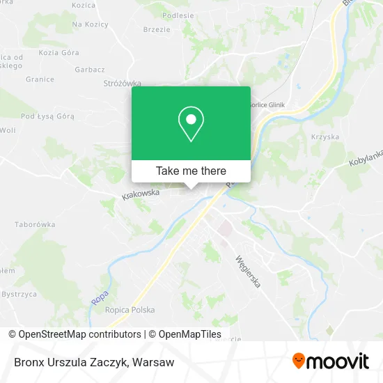 Карта Bronx Urszula Zaczyk