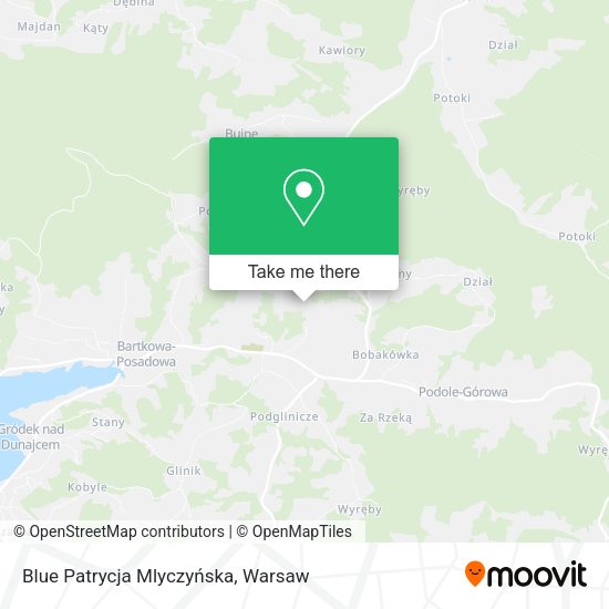 Blue Patrycja Mlyczyńska map