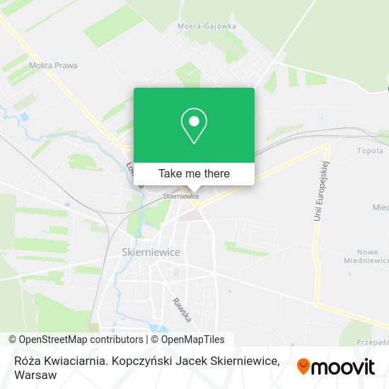 Róża Kwiaciarnia. Kopczyński Jacek Skierniewice map