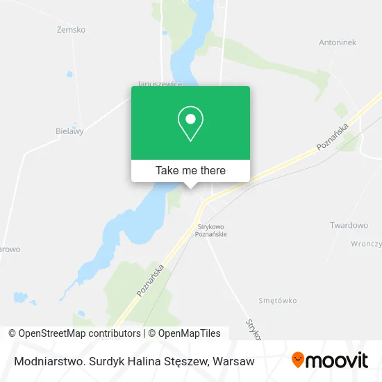 Карта Modniarstwo. Surdyk Halina Stęszew