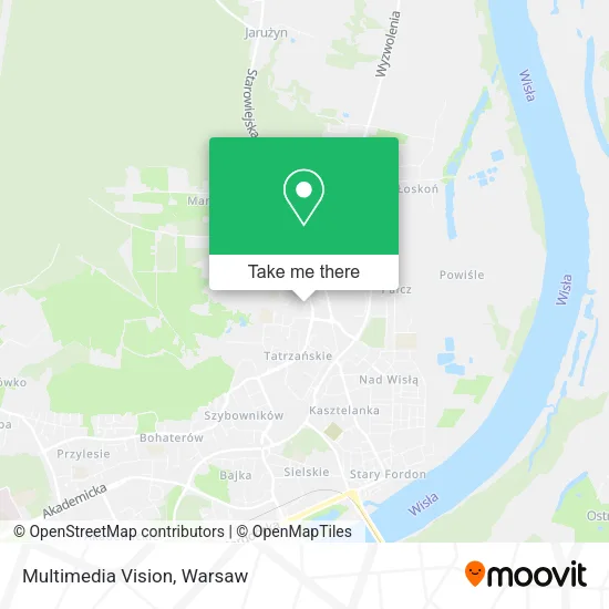 Карта Multimedia Vision