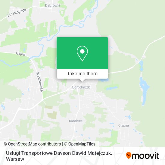 Uslugi Transportowe Davson Dawid Matejczuk map