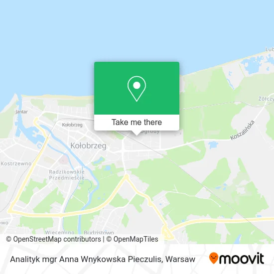 Карта Analityk mgr Anna Wnykowska Pieczulis