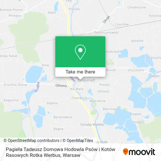 Карта Pagieła Tadeusz Domowa Hodowla Psów i Kotów Rasowych Rotka Werbus