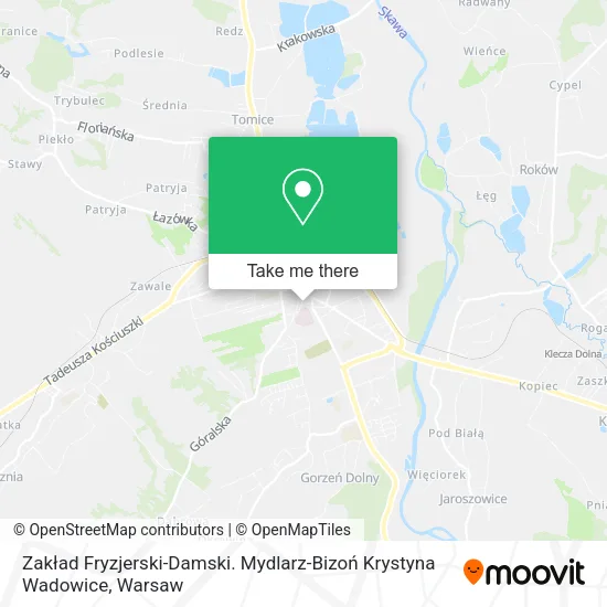Карта Zakład Fryzjerski-Damski. Mydlarz-Bizoń Krystyna Wadowice