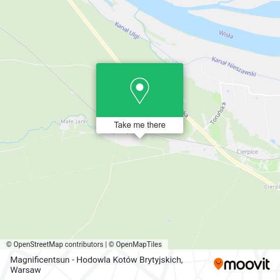 Magnificentsun - Hodowla Kotów Brytyjskich map