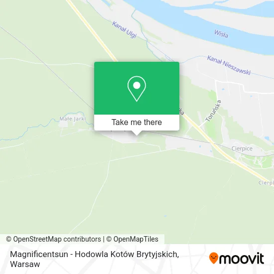 Magnificentsun - Hodowla Kotów Brytyjskich map