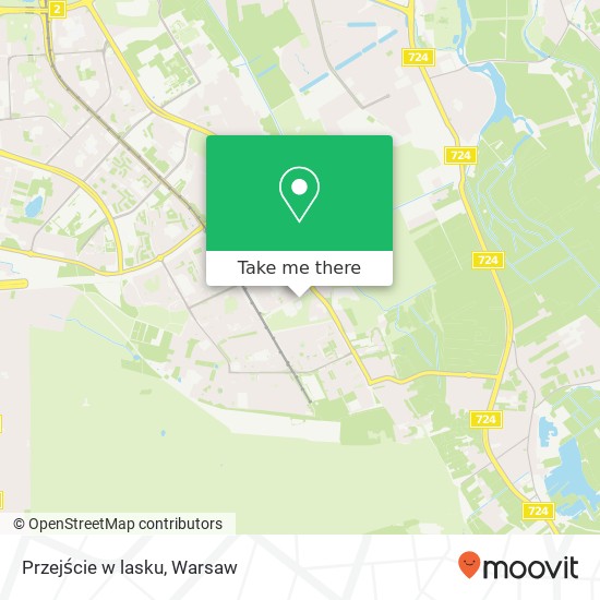 Przejście w lasku map