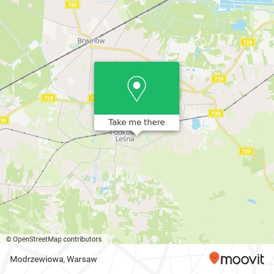 Modrzewiowa map