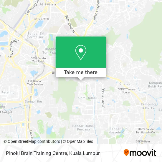 Peta Pinoki Brain Training Centre