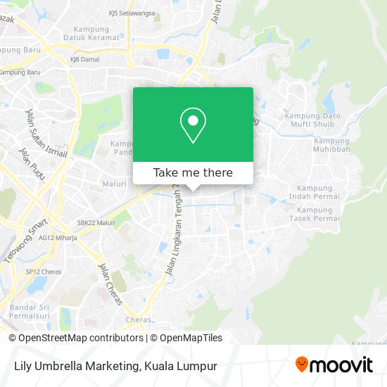 Lily Umbrella Marketing map