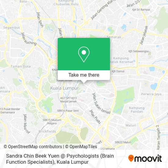 Peta Sandra Chin Beek Yuen @ Psychologists (Brain Function Specialists)