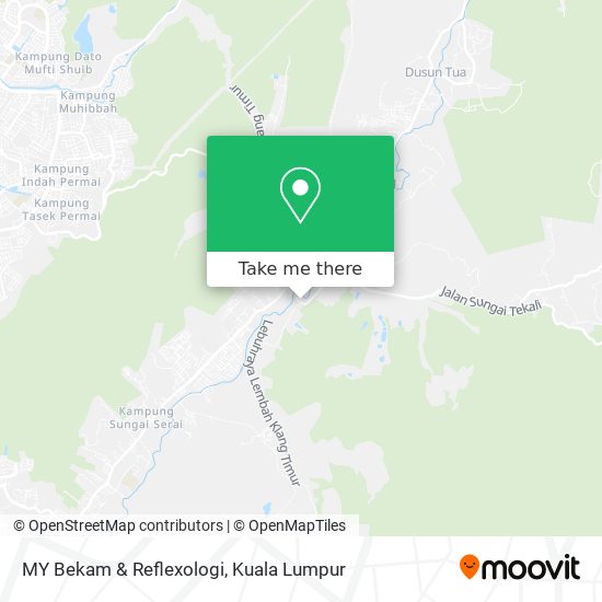 MY Bekam & Reflexologi map