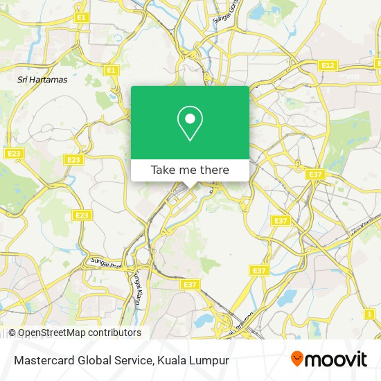 Mastercard Global Service map