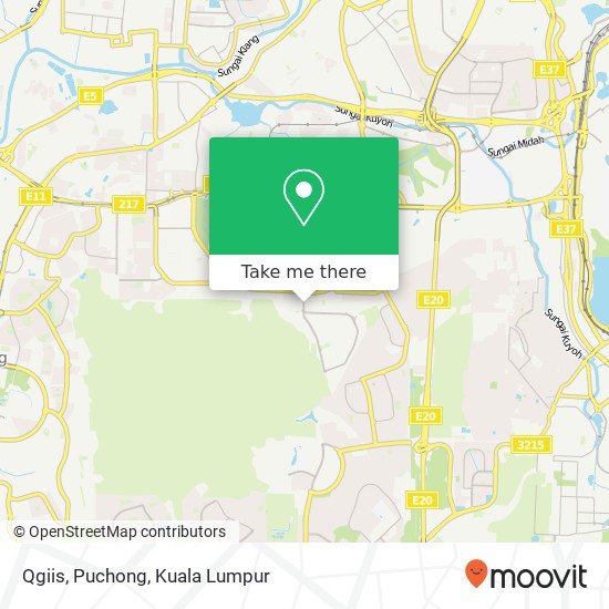 Qgiis, Puchong map