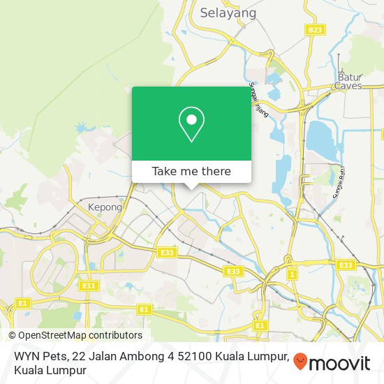 Peta WYN Pets, 22 Jalan Ambong 4 52100 Kuala Lumpur