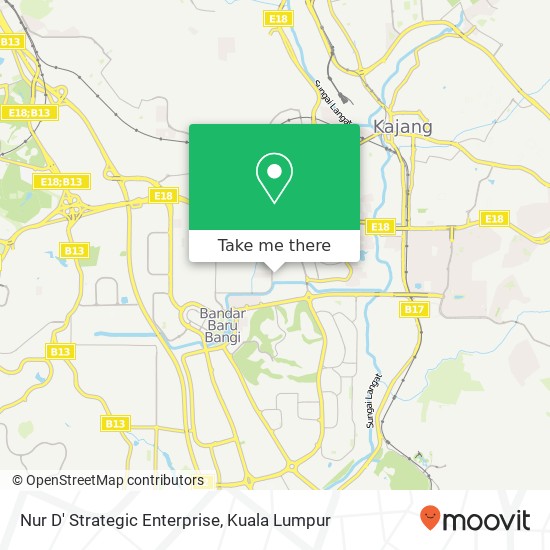 Nur D' Strategic Enterprise map