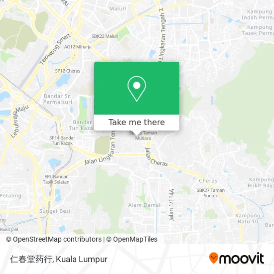 仁春堂药行 map
