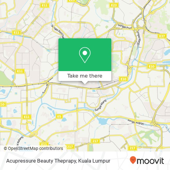 Acupressure Beauty Theprapy map