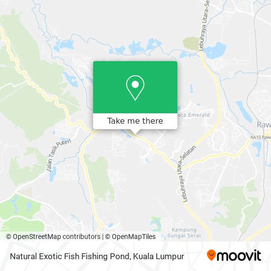 Natural Exotic Fish Fishing Pond map