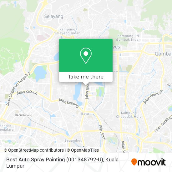 Peta Best Auto Spray Painting (001348792-U)
