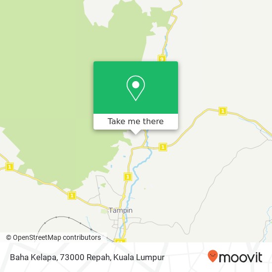 Baha Kelapa, 73000 Repah map