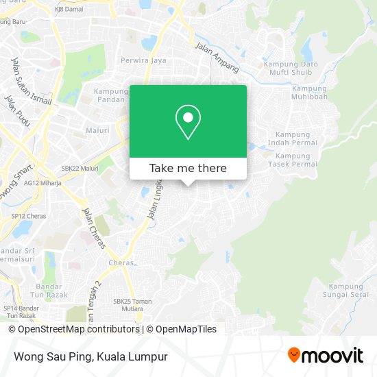 Wong Sau Ping map