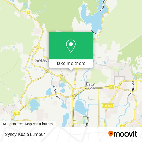 Syney map