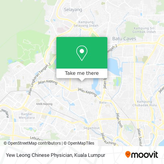 Yew Leong Chinese Physician map