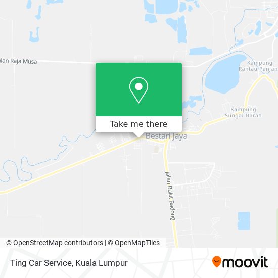 Ting Car Service map