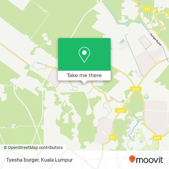 Tyesha burger map