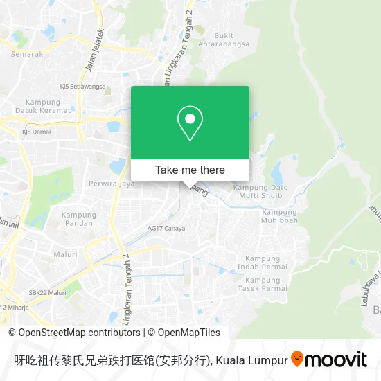 呀吃祖传黎氏兄弟跌打医馆(安邦分行) map