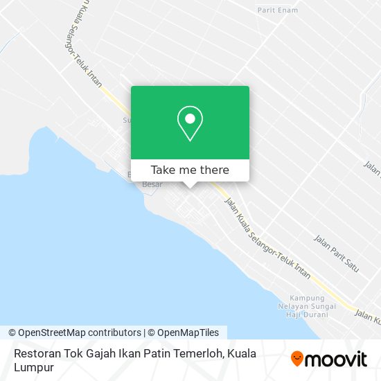 Restoran Tok Gajah Ikan Patin Temerloh map