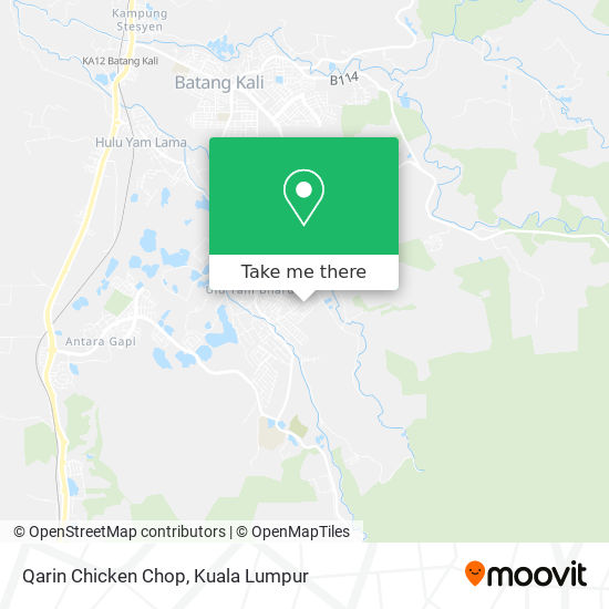 Peta Qarin Chicken Chop