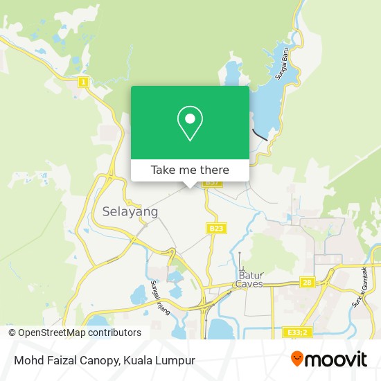 Mohd Faizal Canopy map