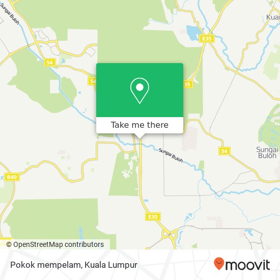 Pokok mempelam map