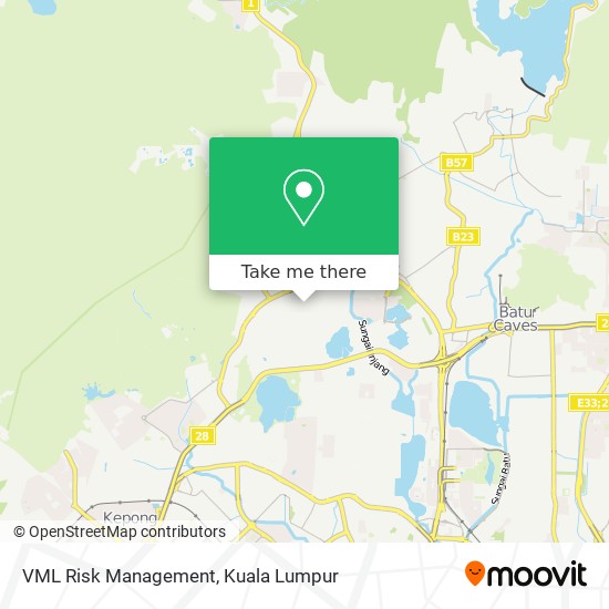 VML Risk Management map
