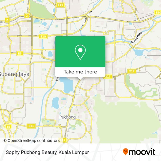 Sophy Puchong Beauty map