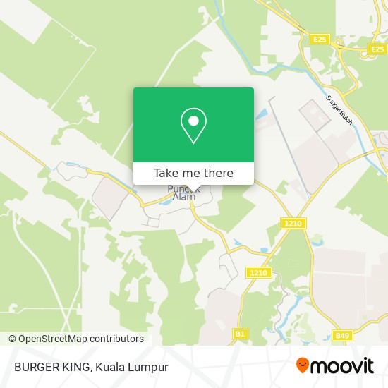 BURGER KING map