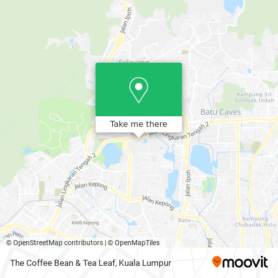 The Coffee Bean & Tea Leaf map