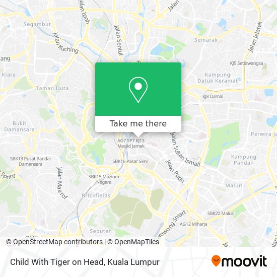 Child With Tiger on Head map