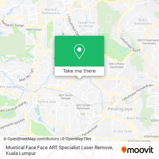Mustical Face Face ART Specialist Laser Remove map