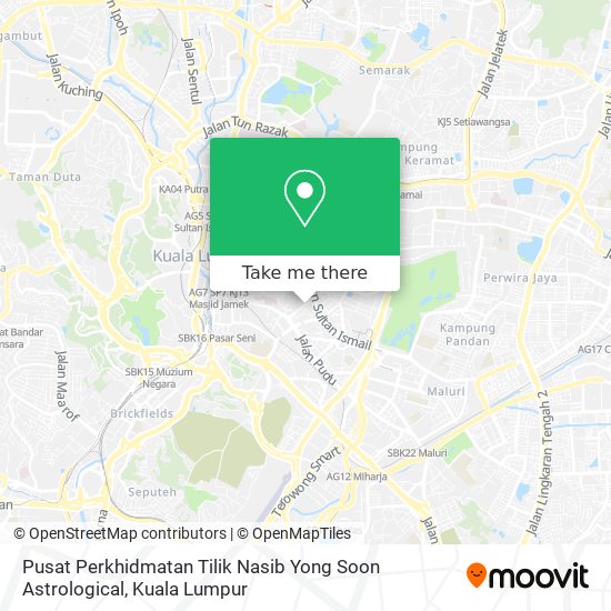 Pusat Perkhidmatan Tilik Nasib Yong Soon Astrological map