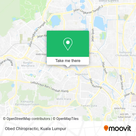 Obed Chiropractic map