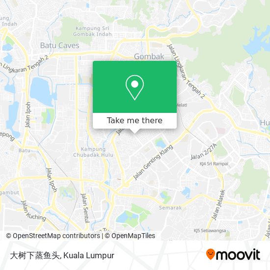 大树下蒸鱼头 map